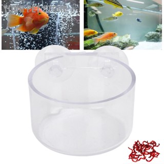 Your Pet Store Aquarium Cone Red Worm Feeder Transparent Fish Tank Feeding Cup with Sucker for Shrimp