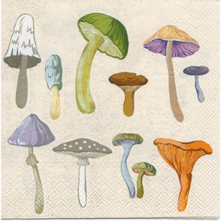 Pladao Napkin ภาพอาหาร เห็ด หลายขนิด Fungus Mushroom กระดาษ แนพกิ้น สำหรับงานศิลปะ เดคูพาจ decoupage ขนาด L 33x33