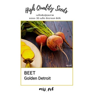 เมล็ด Beet Golden Detroit นำเข้าจากสหรัฐอเมริกา