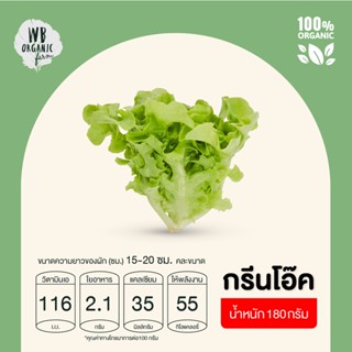 WB Organic Farm กรีนโอ๊ค ผักสลัด ผักสด มาตรฐานออร์แกนิค IFOAM ปลอดสารพิษ 100%  เก็บใหม่ทุกออเดอร์ เก็บ-แพ็ค-ส่งตรงจากฟาร