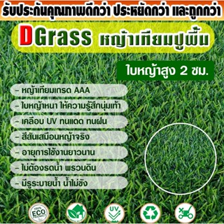 หญ้าเทียมปูพื้น Dgrass  สำหรับตกแต่งสวน บ้าน ใบหญ้าขนาดเล็ก ความสูง 2 ซม. รุ่น DG-S-20-11 (เขียวล้วน) มีขนาดให้เลือก