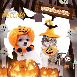 Petcho🎃Happy Halloween👻ชุดสัตว์เลี้ยงฮัลโลวีนน่ารัก ปลอกคอสัตว์เลี้ยงฮาโลวีน หมวกฟักทองฮาโลวีน ชุดสัตว์เลี้ยง