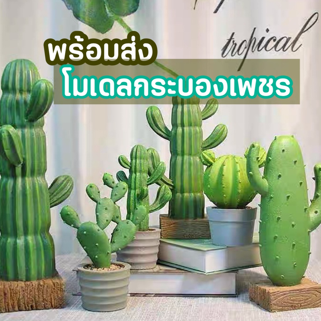 ส่งด่วน โมเดลกระบองเพชร กระบองเพชรปลอม ดอกไม้ตกแต่งบ้าน ต้นไม้ปลอม ต้นไม้ตกแต่งห้อง ตกแต่งบ้าน แคคตัส ตกแต่งโต๊ะทำงาน