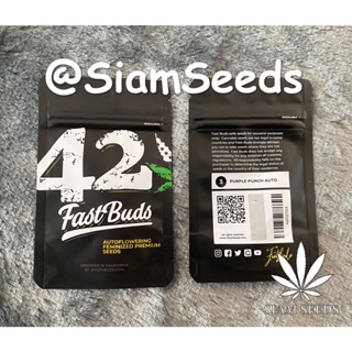 เมล็ดกัญชา Fastbuds Purple Punch Auto Cannabis Seeds (Pack of 3)