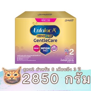 Enfalac A+ Gentle Care นมผงสูตร 2 ขนาด 1425 - 2850 กรัม เอนฟาแล็ค มายด์โปร เจนเทิลแคร์ พร้อมส่ง มีเก็บเงินปลายทาง