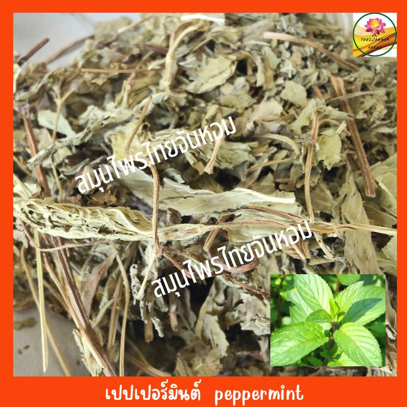 เปปเปอร์มิ้นต์ ใบมิ้น peppermint ขนาด 500 กรัม
