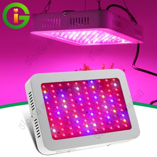 AC220v  ไฟปลูกต้นไม้ LED Grow Light 100ชิป  สำหรับการเจริญเติบโตของผัก ผลไม้ และต้นไม้ Grow Light Phyto Lamp