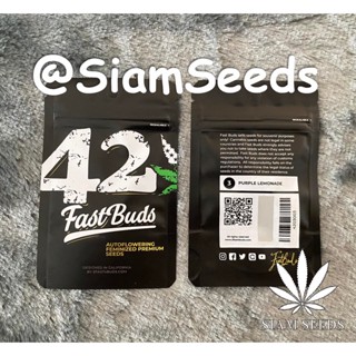 เมล็ดกัญชา Fastbuds Purple Lemonade Auto Cannabis Seeds (Pack of 3)