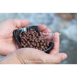 Peaberry คั่วกลาง Arabica เทพเสด็จ Washed process มีให้เลือก 3 ขนาด