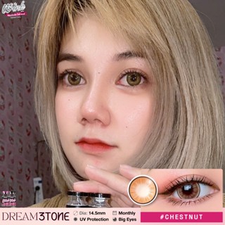 ร้านเลนส์สวยคอนแทคWink Wowรุ่น Dream3tone สีChestnut /สี Gray เทา มีอย.ไม่มีค่าสายตาและมีค่าสายตา(Hit ขายดี)