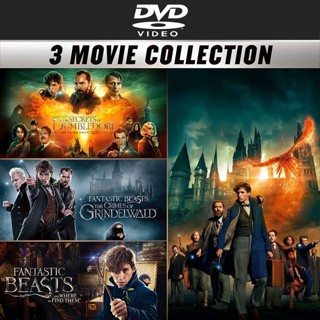 DVD หนัง Fantastic Beasts สัตว์มหัศจรรย์ 3 Movie Collection