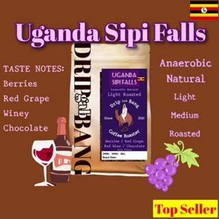 เมล็ดกาแฟคั่วอูกานดา Uganda Sipi falls🇺🇬คั่วอ่อน/คั่วกลาง โทนช็อคโกเเลต ไวน์ องุ่น (Drip​ gab​ bang ดริป​ กับ​ บัง)​