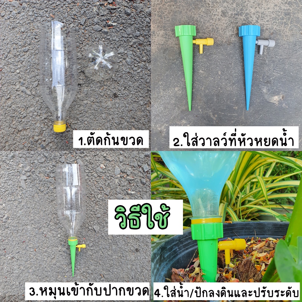 รูปภาพ 5