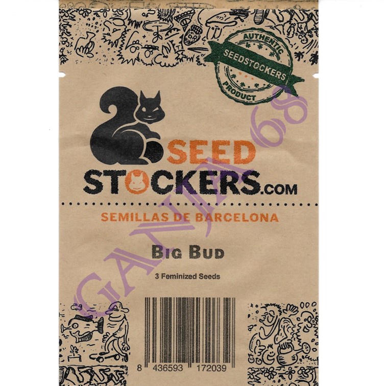 Big Bud - Seed Stockers
