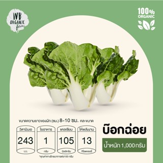 WB Organic Farm บ๊อกฉ่อย 1000 กรัม ผักสลัด มาตรฐานออร์แกนิค ปลอดสารพิษ 100%  เก็บใหม่ทุกออเดอร์ เก็บ-แพ็ค-ส่งตรงจากฟาร