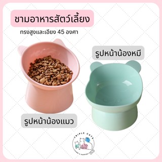 ชามอาหารสัตว์เลี้ยง ทรงสูง ชามอาหารแมว ชามแมว ชามเอียง ชามทรงสูง ชามอาหารแมวทรงสูง ชามอาหารแมวยกสูง ชามแมวทรงสูง