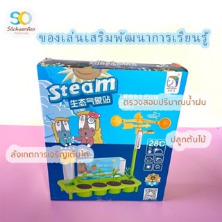 ของเล่นเด็ก ชุดสำรวจการเจริญเติมโตของต้นไม้