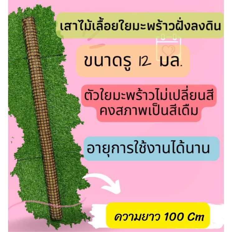 เสาใยมะพร้าว ชนิดฝังลงดิน สามารถใส่ท่อได้ทางร้านเว้นช่องว่างในกระบอกไว้ให้ ขนาด 100 cm.