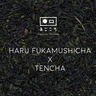 ใบชาเขียวญี่ปุ่น Haru Fukamushicha x Tencha - Deep Steamed Sencha