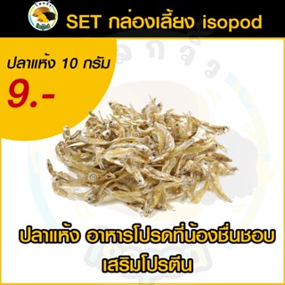 ปลาแห้ง ไม่ปรุงรส สำหรับเลี้ยงไอโซพอด isopod เสริมโปรตีน อาหารไอโซพอด