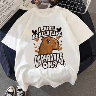 คาปิบาร่า Capybaras เสื้อยืดลําลอง แขนสั้น พิมพ์ลายกราฟฟิค สไตล์ญี่ปุ่น วินเทจ สําหรับผู้ชาย 2022