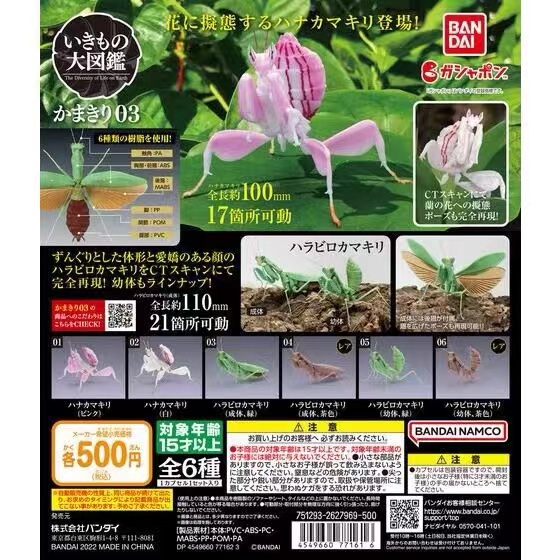 ☬☇✣พบกับภาพประกอบแมลง Bandai Gacha ของแท้ ตั๊กแตนตำข้าว กล้วยไม้ ตั๊กแตนตำข้าว จำลองการประกอบ Super 
