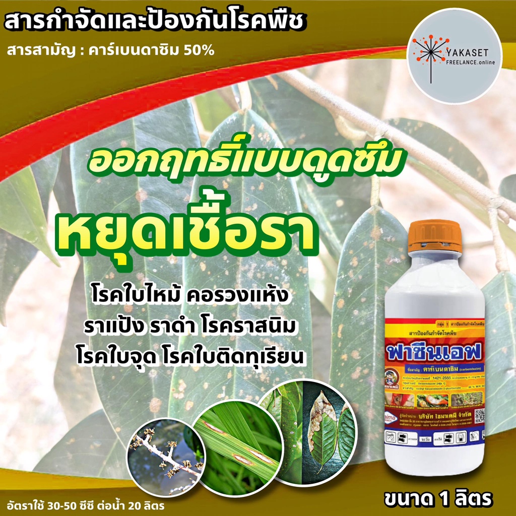 ฟาซีนเอฟ 1 ลิตร คาร์เบนดาซิม 50% SC ป้องกันกำจัดโรค โรคใบไหม้โรคกาบใบแห้ง โรคใบจุดสีน้ำตาล โรคราแป้ง