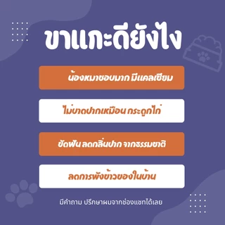 ขนมหมาขัดฟัน กระดูกขัดฟัน ขาแกะ อบแห้ง ขนมขัดฟัน ขนมหมา มีแคลเซียม หมาชอบมาก ขนมสุนัข dog snack treat
