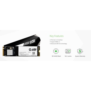 256 GB SSD AGI RAPIDITY PCIe/NVMe M.2 2280 (AGI256G16AI198)