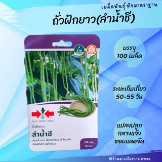 เมล็ดพันธุ์ ถั่วฝักยาว (ลำน้ำชี) *ศรแดง บรรจุ 100 เมล็ด