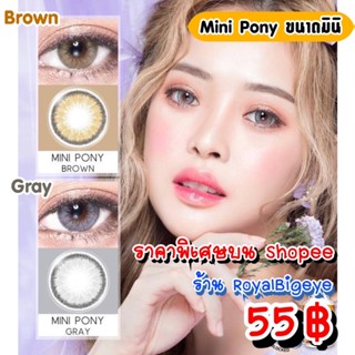 คอนแทคเลนส์ 🎀Mini Pony🎀Gray/Brown(Montra/Wink/PitchyLens)💝เลนส์ขนาดมินิ สีเทา สีน้ำตาลสวยมาก