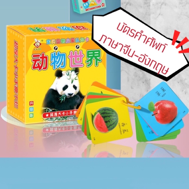 #บัตรคำ #บัตรคำภาษาอังกฤษ #บัตรคำภาษาจีน #flashcard #บัตรคำสอนภาษา