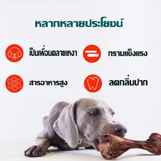 ขนมขัดฟันสุนัข แท่งเนื้อแท้ กระดูกขัดฟัน เนื้อแท้ สดใหม่ ไร้สารปรุงแต่ง แท่งใหญ่25CM