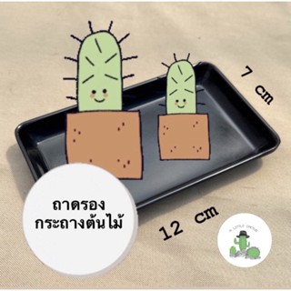 🌵 A Little cactus🌵| ถาดรองกระถางต้นไม้ แคคตัส