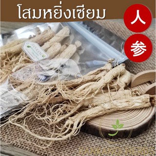 โสมคน 人参 ren shen โสมหยิ่งเซียม ยินเซียม โสมขาว หัวโสม รากโสม Radix Ginseng โสมจีน