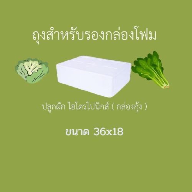 ถุงสำหรับรองกล่องโฟมปลูกผักสลัดน้ำนิ่ง