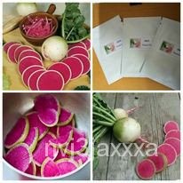 （คุณภาพสูง เมล็ด）เรดิชแตงโม Watermelon Radish ปลูกง่าย/ผักชี 27PX