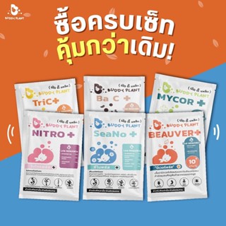 ชุดปุ๋ยบัดดี้แพล็น6ซอง