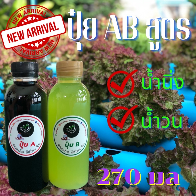 ปุ๋ย AB สำหรับผักสลัด ผักไทย จีนทุกชนิดขนาด 270มล