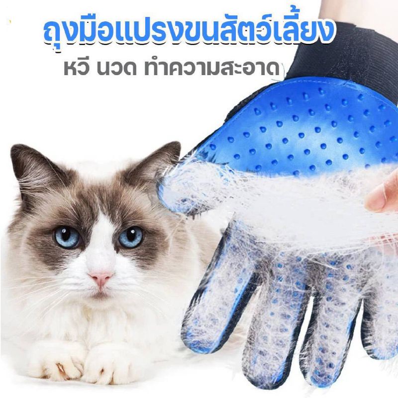 ถุงมือแปรงขน รูดขนสัตว์ หมา แมว สุนัขTrue Touch Pet the hair (ไม่มีกล่องแพ็คคเกจ)