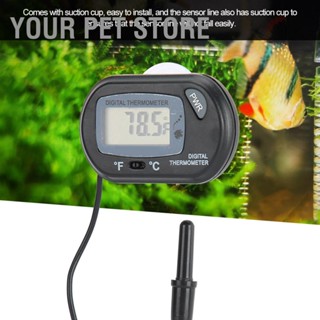 Your Pet Store  Your Pet Store พิพิธภัณฑ์สัตว์น้ำ Probe รูปเครื่องวัดอุณหภูมิน้ำอิเล็กทรอนิกส์พร้อมถ้วยดูดสำหรับถังปลา