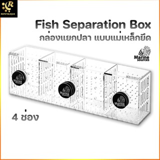 Marine Source กล่องแยกปลา แม่เหล็กยึดกระจก 4 ช่อง Fish Separation Box Magnet กล่องพักปลา กล่องอนุบาลปลา ปลาป่วย ปลาท้...