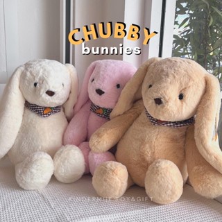 Chubby Bunnies ᯤ 🐰•₊˚ 🥕˚✿ กาตุ่นขนปุย