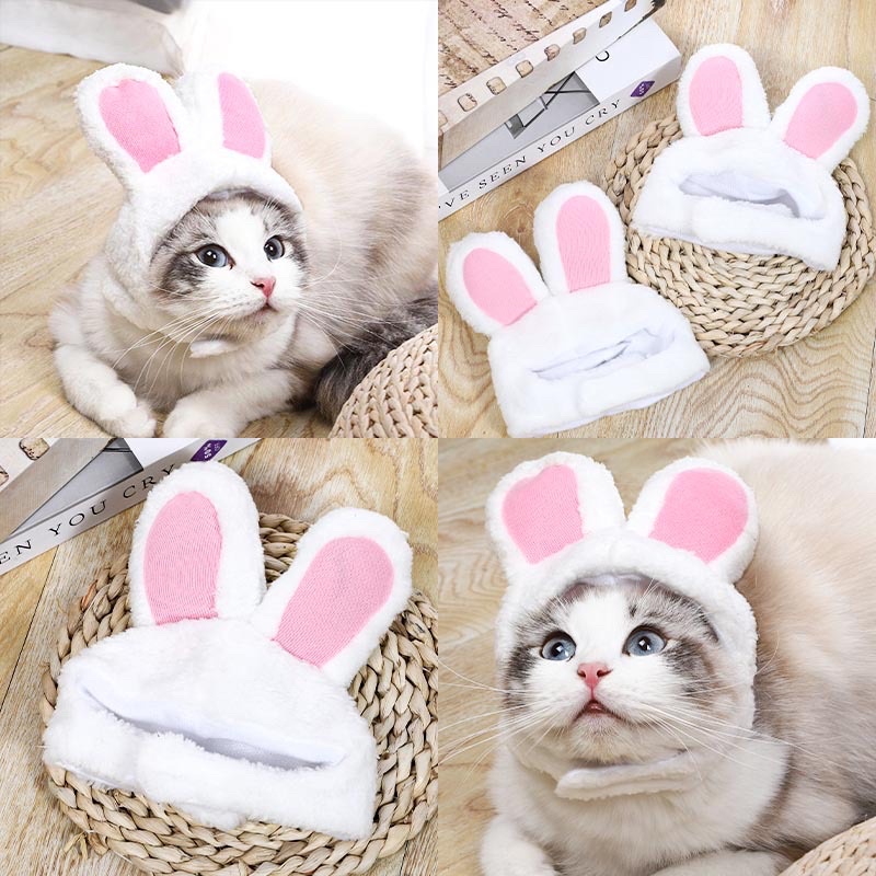 หมวกหูกระต่ายน่ารักสําหรับสัตว์เลี้ยง หมวกสัตว์เลี้ยง พร้อมส่ง จากไทย