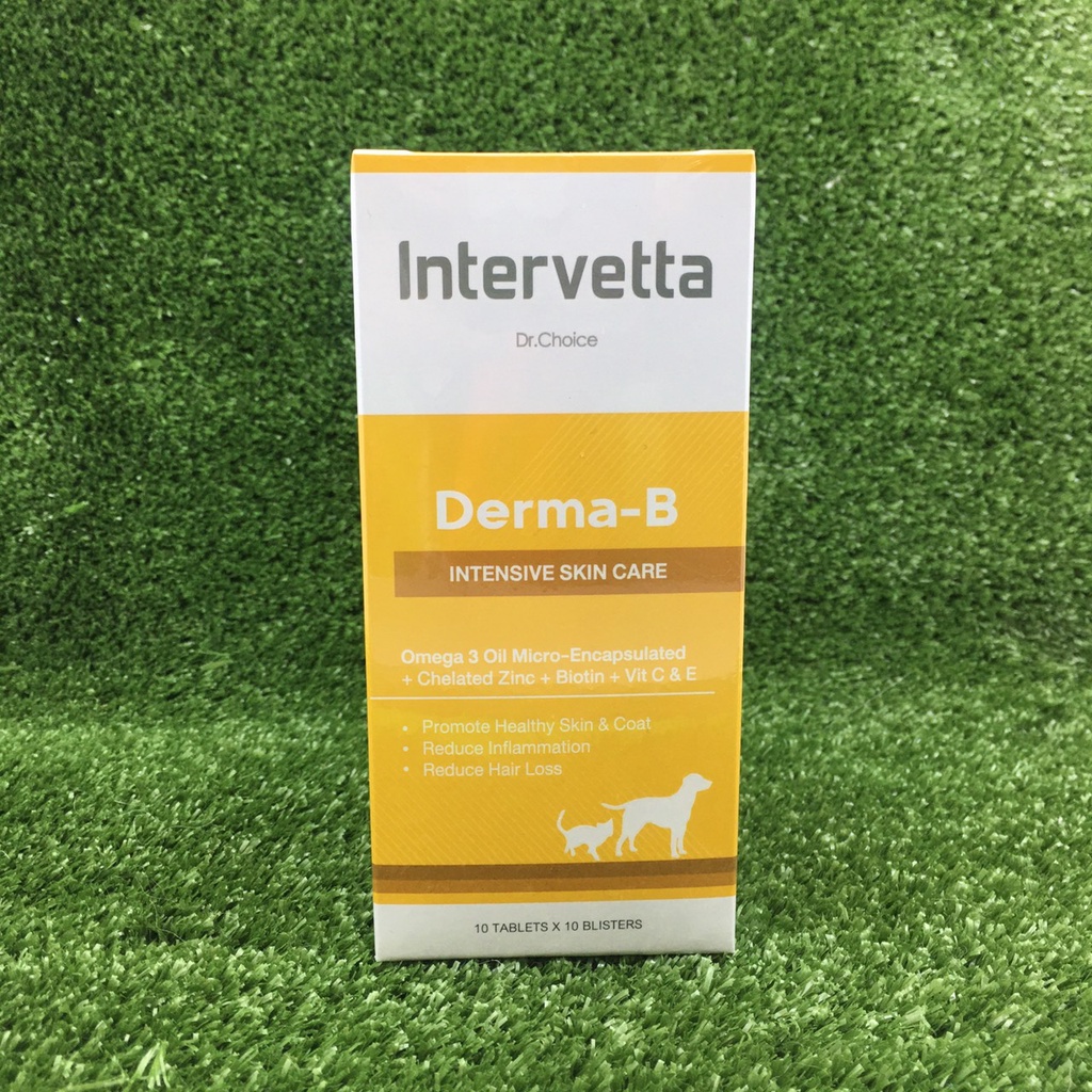 ส่งฟรี ยกกล่อง Derma-B โรคผิวหนัง สุนัข-แมว ลดอักเสบ คัน ขนร่วง หมดอายุ 3/26