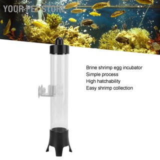 Your Pet Store 440ml Shrimp Eggs Incubator Hatchery Trasparent Aquarium Kit for DIY Fish Tank Hatch Tool