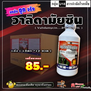 **ขายยกลัง** วาลิดา(หมู)- วาลิดามัยซิน ( Validamycin ) สารป้องกันกำจัดโรคพืช เชื้อรา โรคใบไหม้ โรคกาบใบแห้ง โรคใบติด