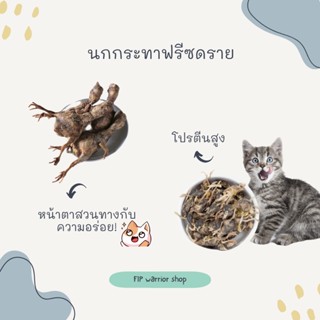 นกกระทาทั้งตัวฟรีซดราย นกกระทาฟรีซดราย ขนมแมวฟรีซดราย