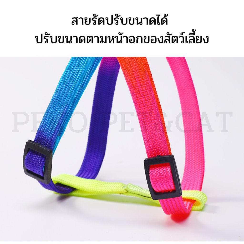 PEKO PET&CAT สายจูงสัตว์เลี้ยง สีรุ้งแบบหนา รูปที่ 4