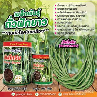 ผลิตภัณฑ์ใหม่ เมล็ดพันธุ์ เมล็ดอวบอ้วน100%，ไทยในสต็อกพร้อมส่งเมล็ดพันธุ์ถั่วฝักยาวมันนี่กรีน ขนาด 100-500 กรัมเ /ง่าย HY